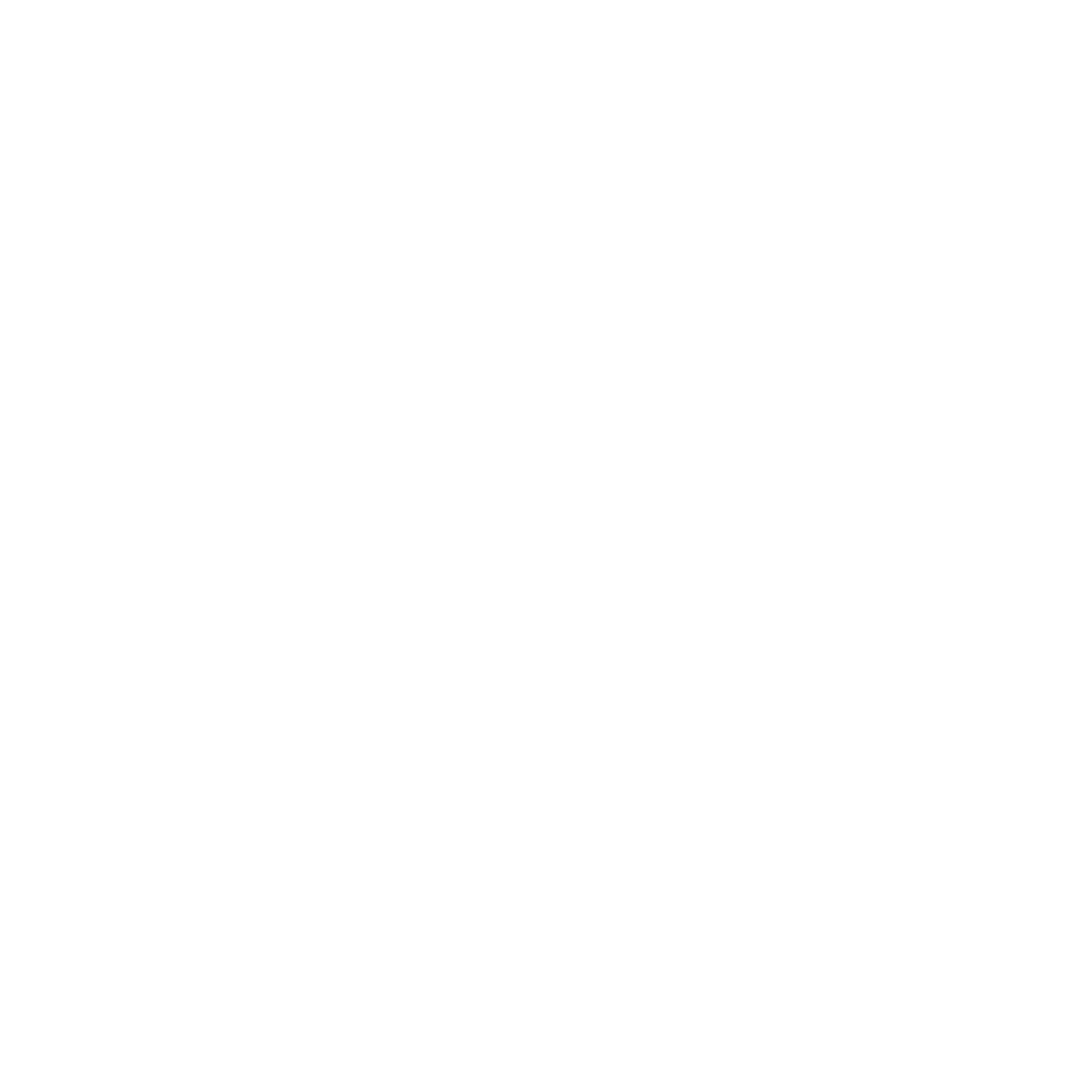 WordpressWarrior